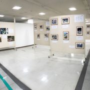 お墓参り写真パネル展