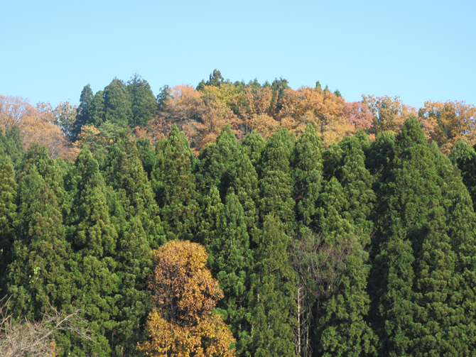 上市町